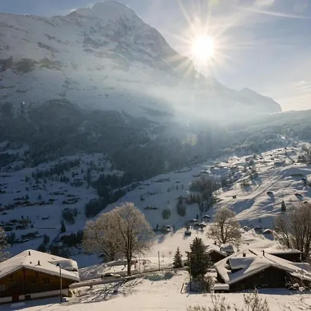 Burgstein, Alpenrose Apartment Grindelwald