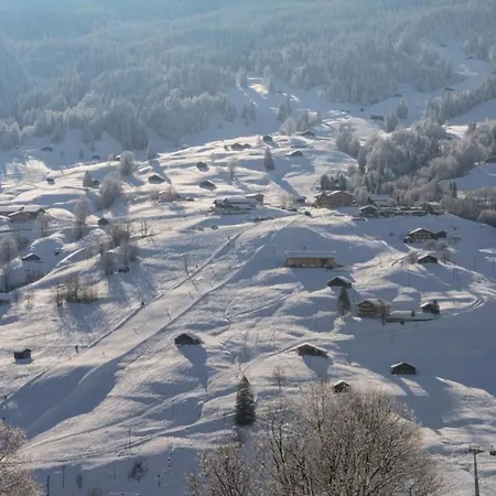 Burgstein, Alpenrose Apartment Grindelwald